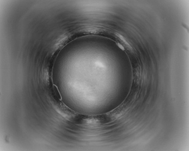 X0000095890500200801111158