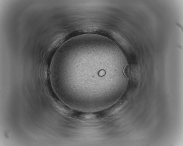 X0000095890501200801111158