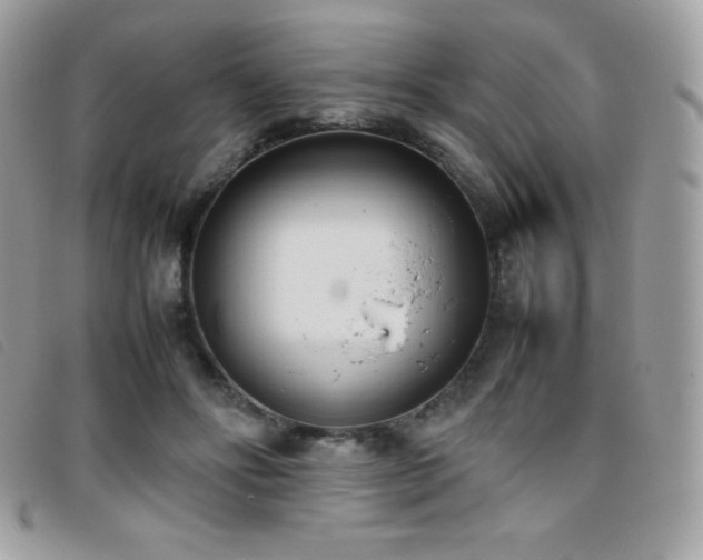 X0000095890502200801111158