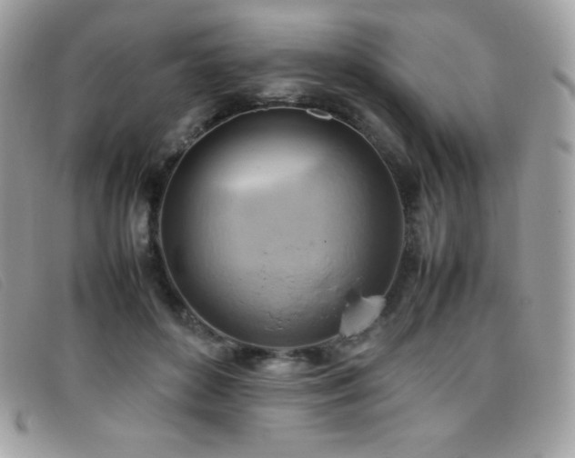 X0000095890504200801111158