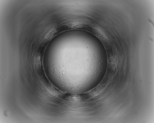 X0000095890506200801111158