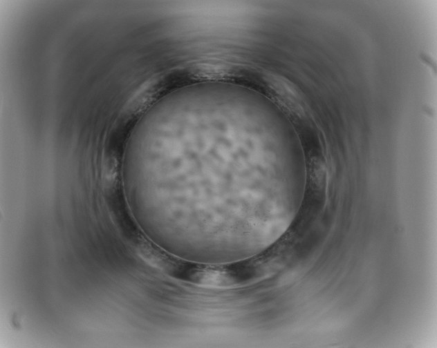 X0000095890507200801111158
