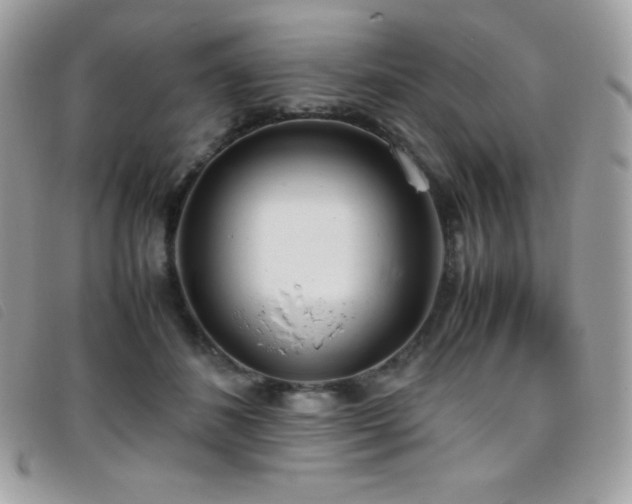 X0000095890508200801111158