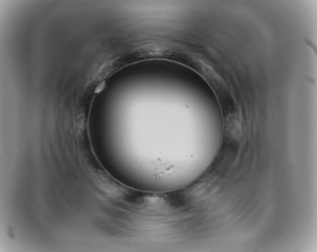 X0000095890509200801111158