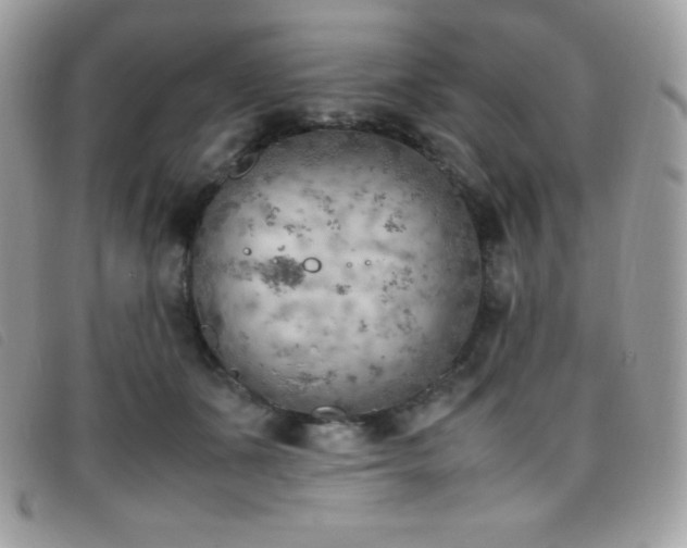X0000095890511200801111158