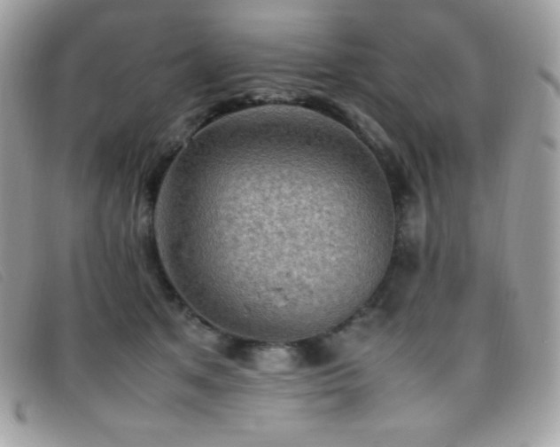 X0000095890513200801111158