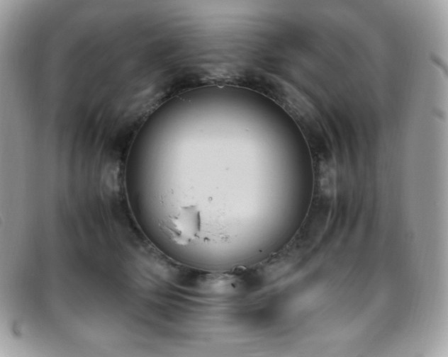 X0000095890514200801111158