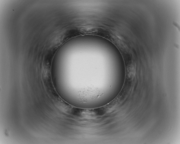 X0000095890515200801111158