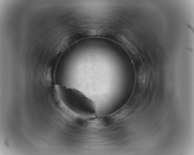 X0000095890516200801111158