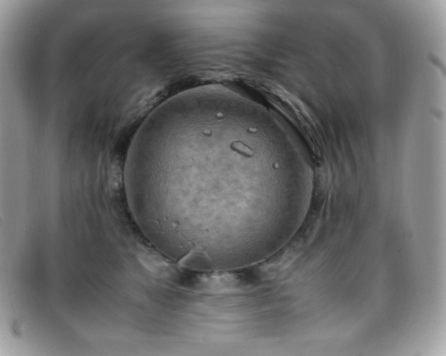 X0000095890517200801111158
