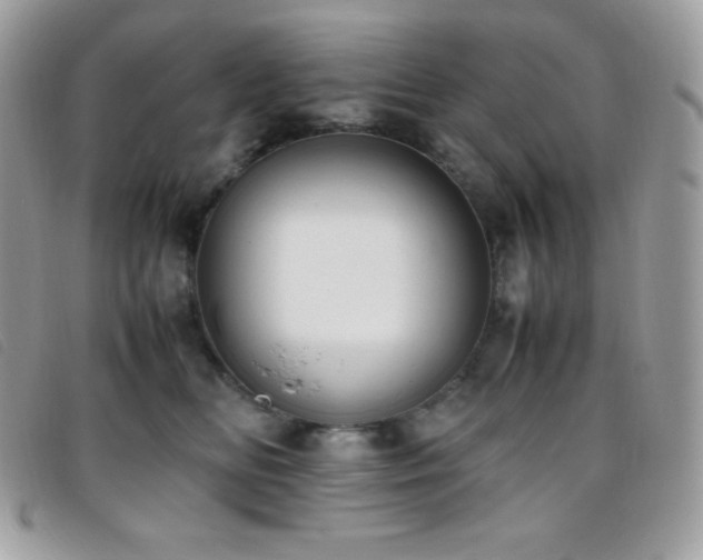 X0000095890518200801111158