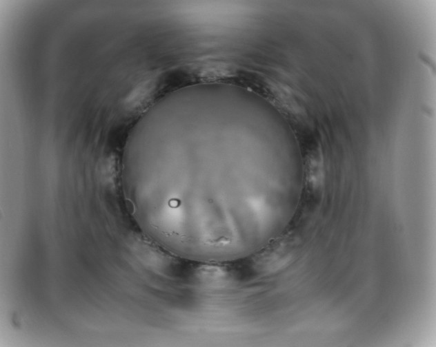 X0000095890519200801111158