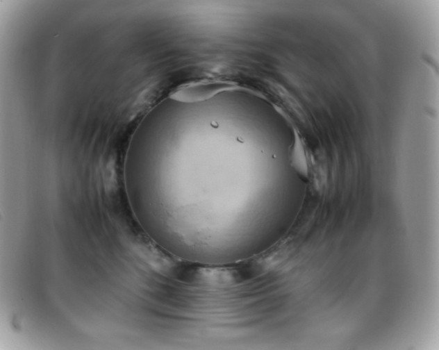 X0000095890520200801111158