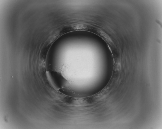 X0000095890521200801111158