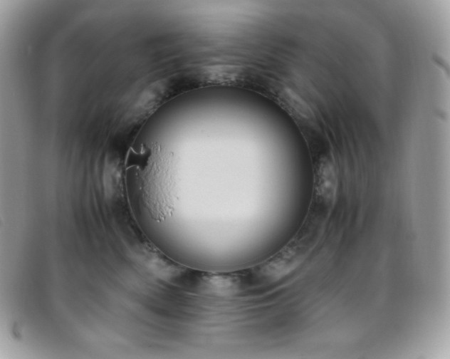 X0000095890522200801111158