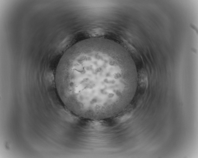 X0000095890523200801111158