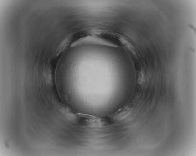 X0000095890524200801111158