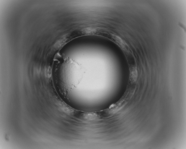 X0000095890525200801111158