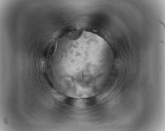 X0000095890527200801111158