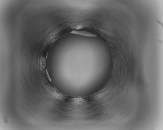 X0000095890528200801111158