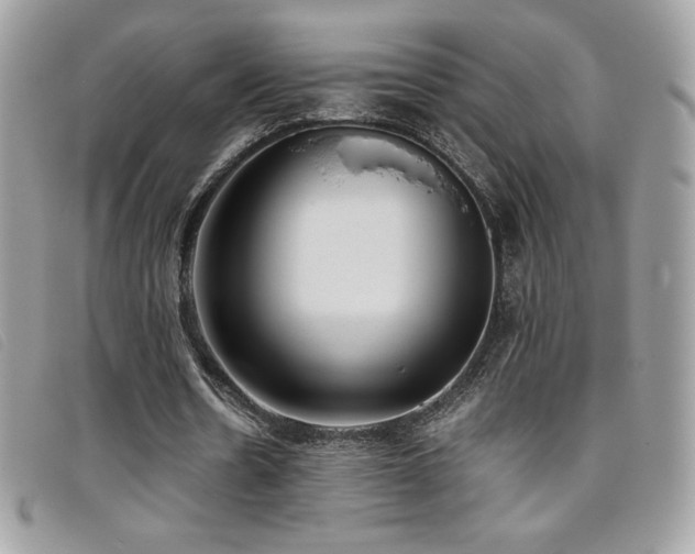 X0000095890530200801111157