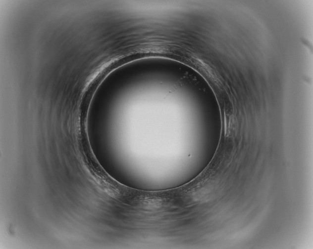 X0000095890531200801111157