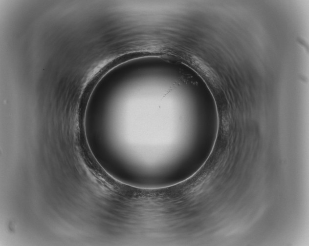 X0000095890532200801111158