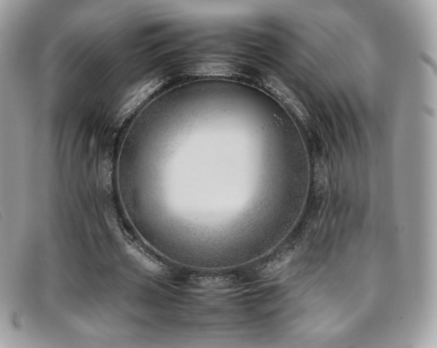 X0000095890533200801111158