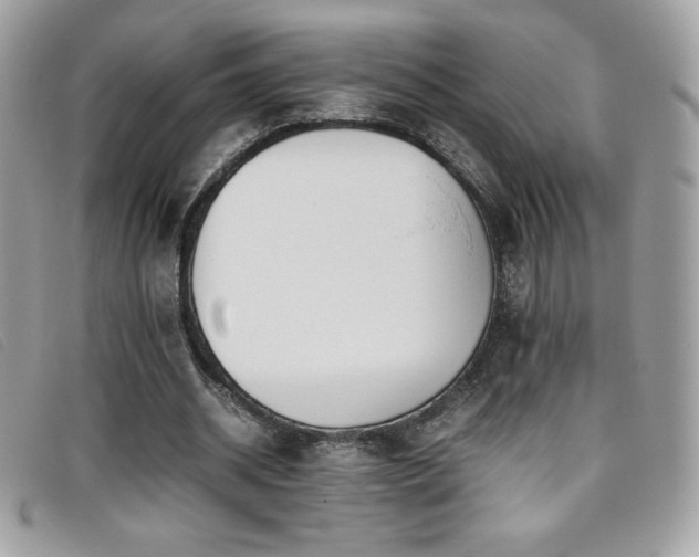 X0000095890534200801111158