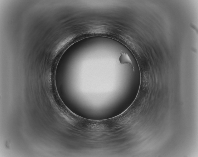 X0000095890535200801111158
