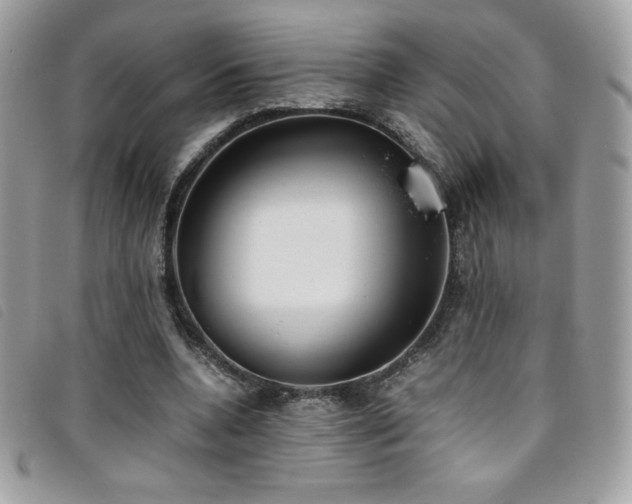 X0000095890536200801111158