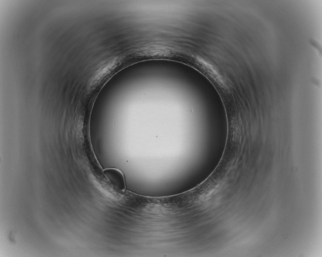 X0000095890538200801111158