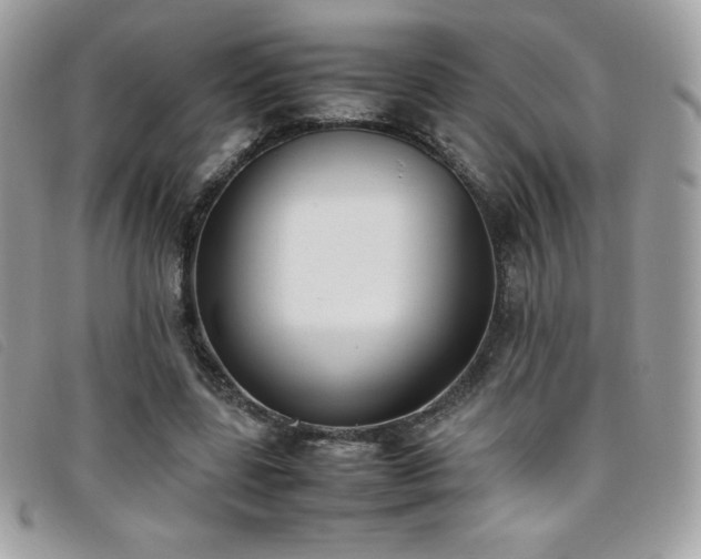X0000095890539200801111158