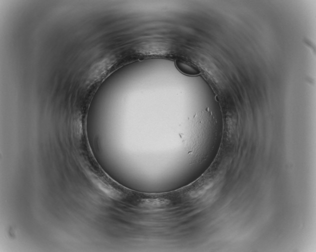 X0000095890541200801111158
