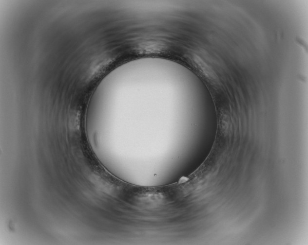X0000095890543200801111158