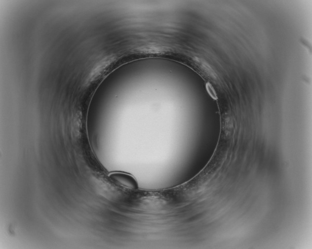 X0000095890544200801111158