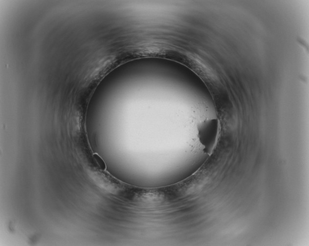 X0000095890546200801111158