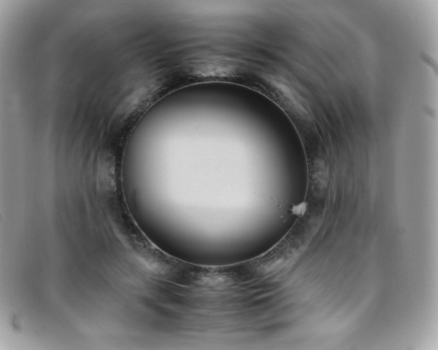 X0000095890547200801111158