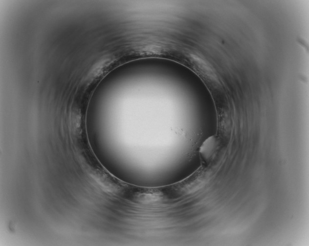 X0000095890548200801111158