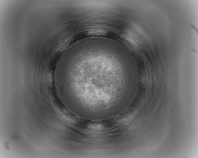 X0000095890551200801111158