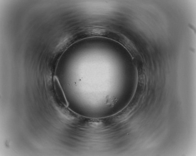 X0000095890552200801111158