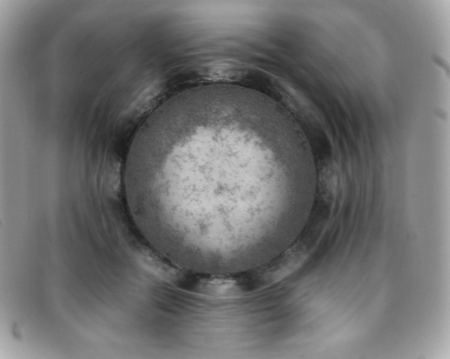 X0000095890554200801111158