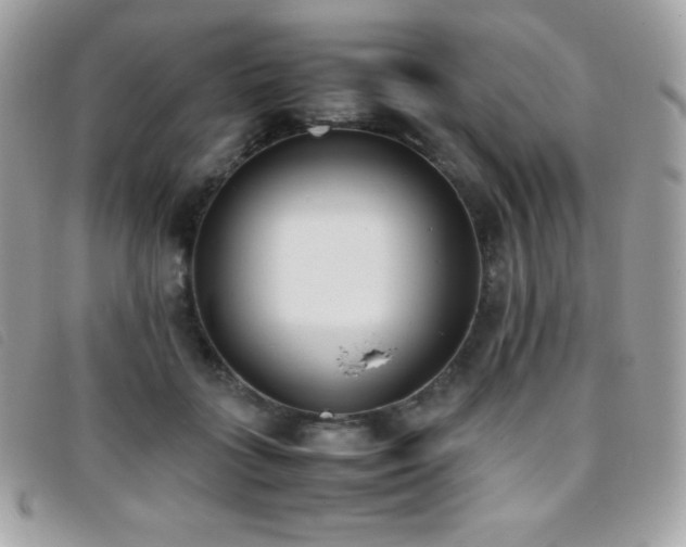 X0000095890555200801111158