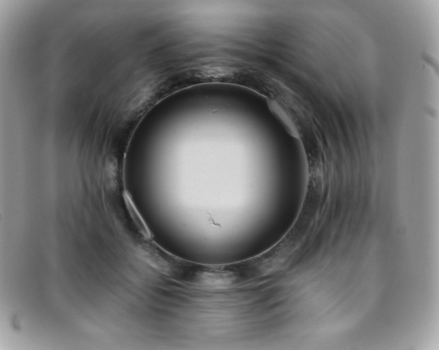 X0000095890556200801111158