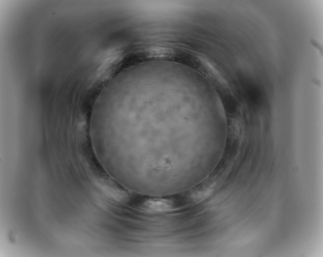 X0000095890557200801111158