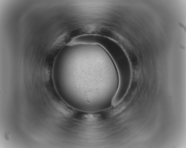 X0000095890558200801111158