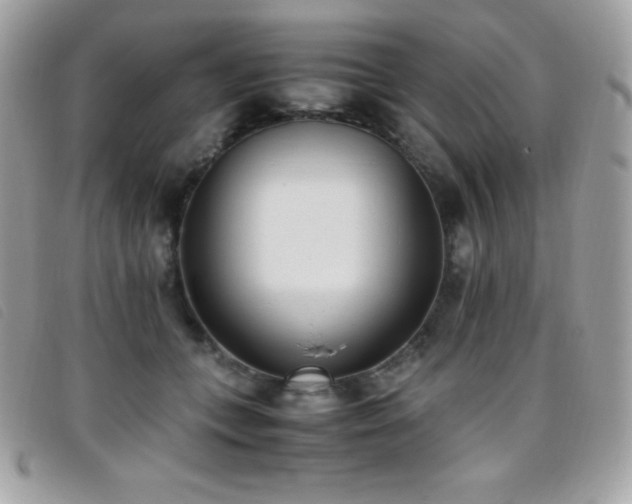 X0000095890559200801111158