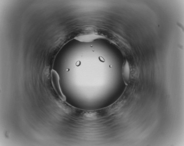 X0000095890560200801111158
