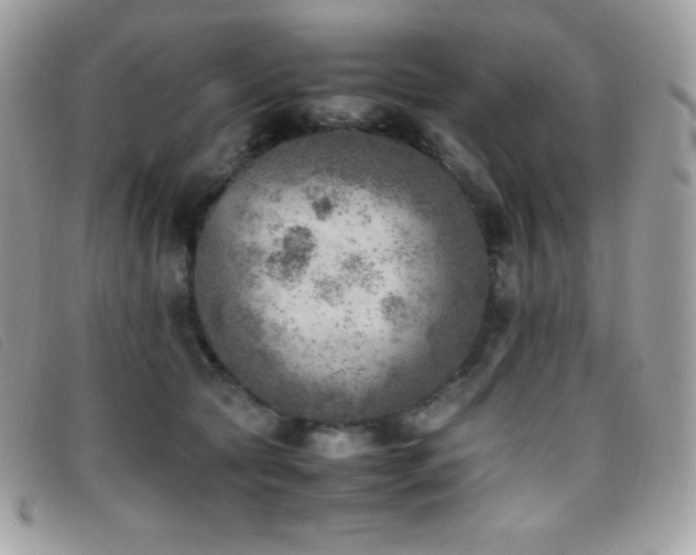X0000095890561200801111158