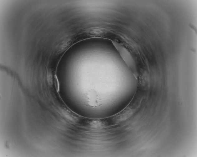X0000095890562200801111158